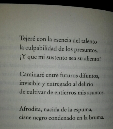 2016-02-19 12.04.16.jpg