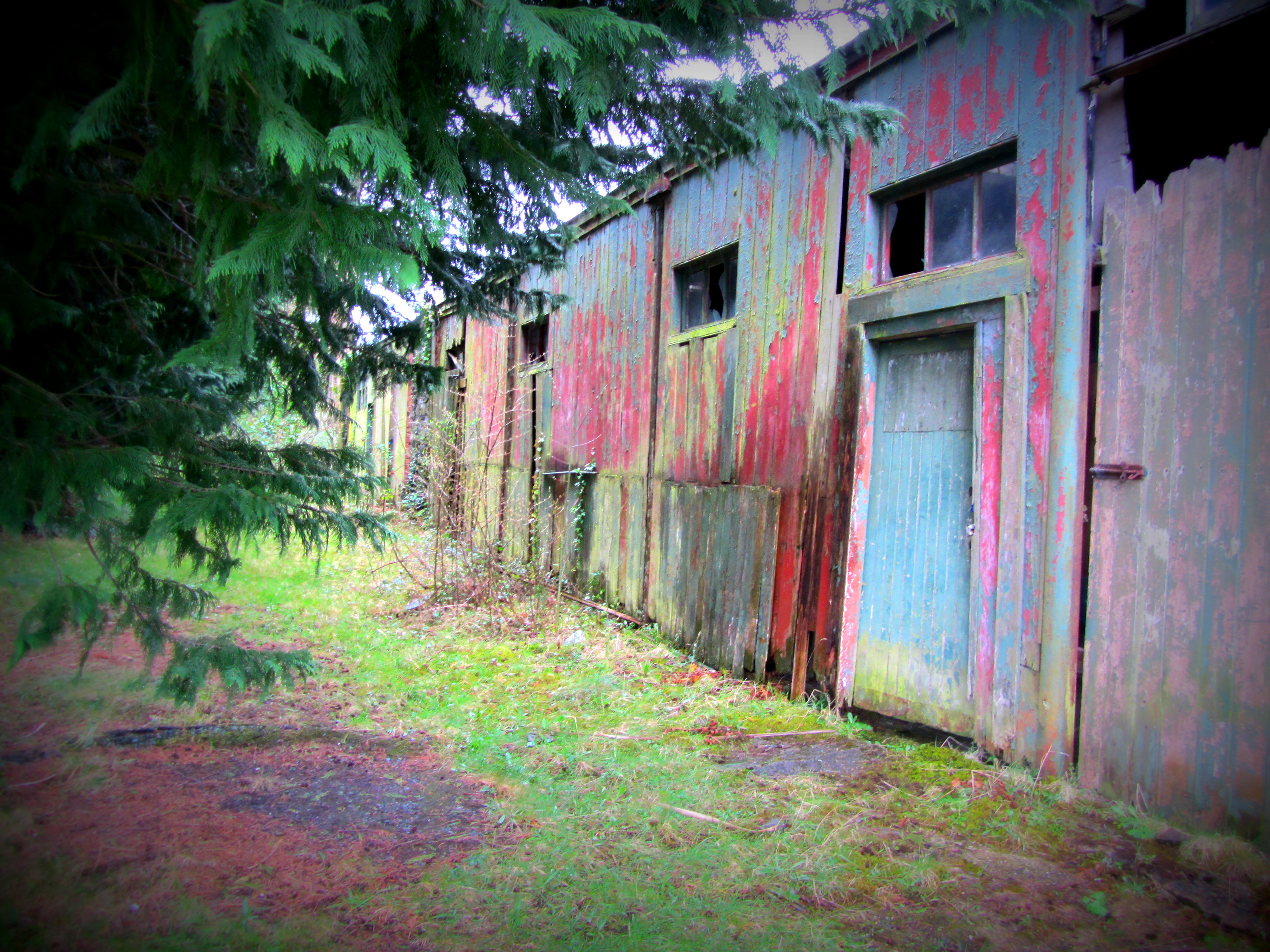 camino del adiós.jpg